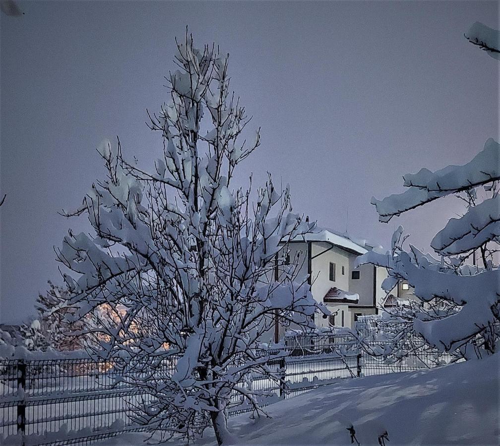 Pinerose Resort Bansko Exteriör bild