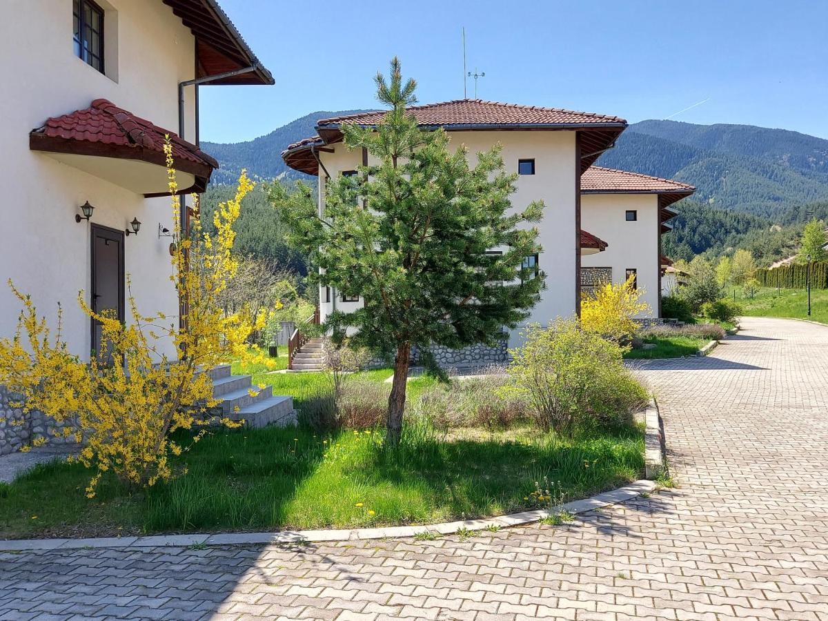 Pinerose Resort Bansko Exteriör bild