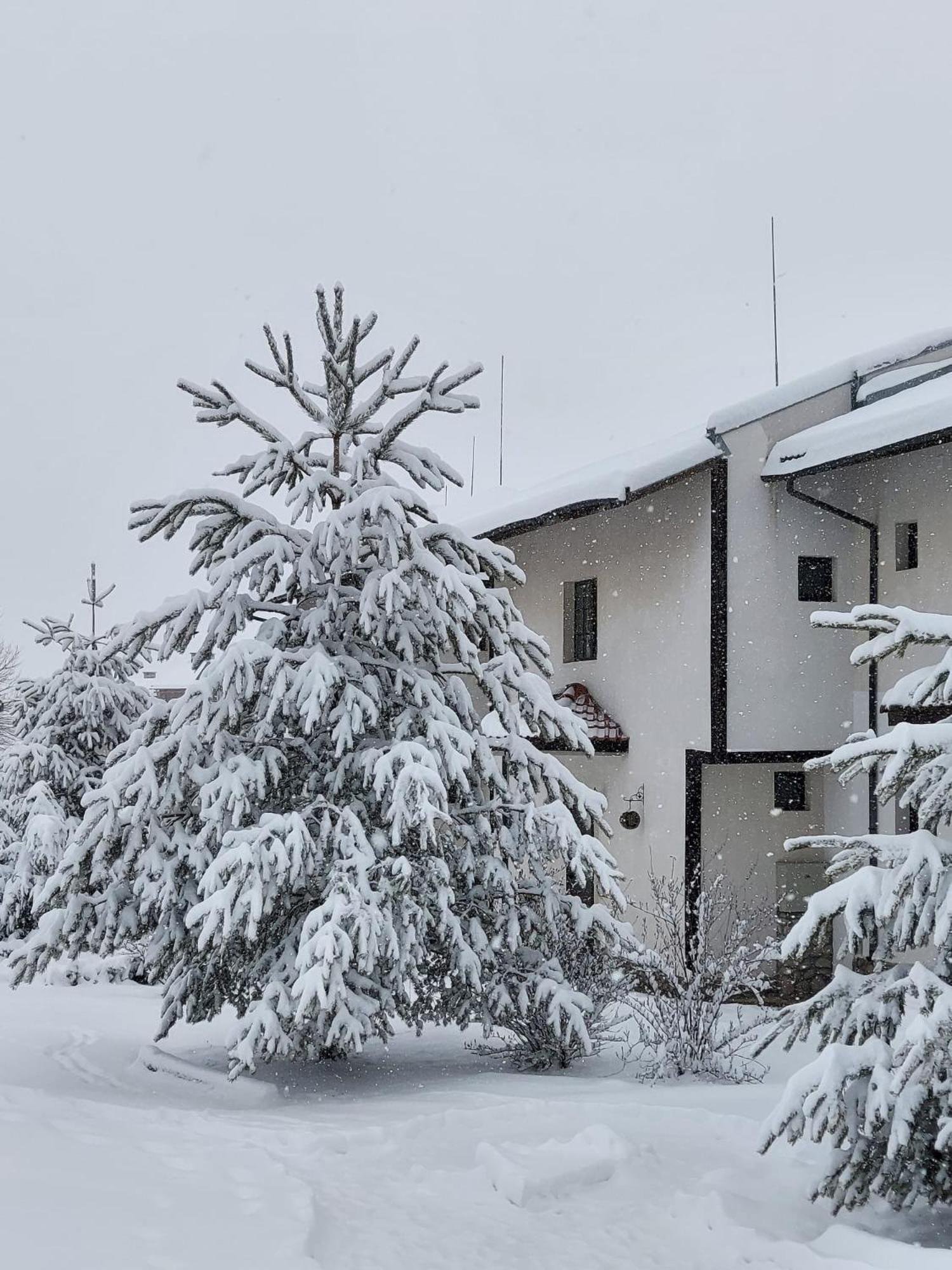Pinerose Resort Bansko Exteriör bild